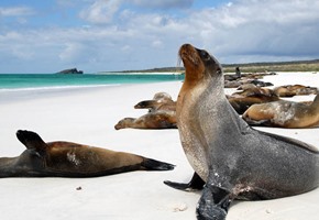 The Galapagos Islands: The isles that changed the world