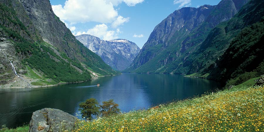 Norwegian Fjords