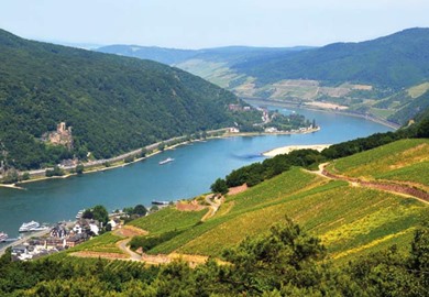 The Rhine