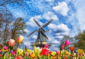 Keukenhof Gardens