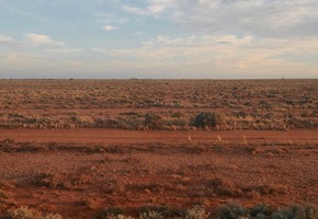 Indian Pacific
